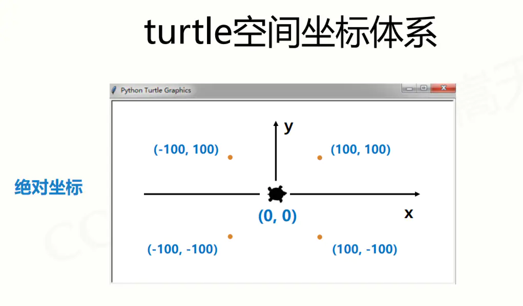 turtlexy